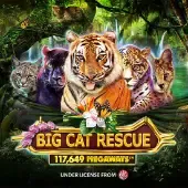 Big Cat Rescue Megaways screenshot